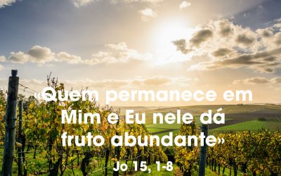 «Quem permanece em Mim e Eu nele dá fruto abundante» Jo 15, 1-8