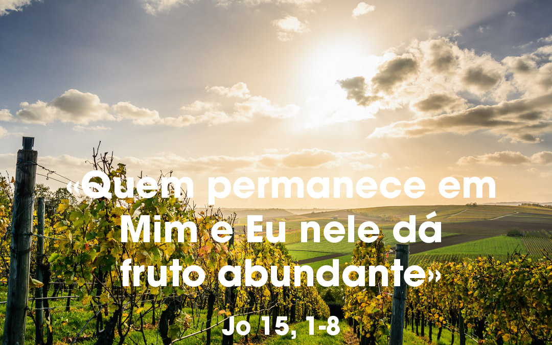 «Quem permanece em Mim e Eu nele dá fruto abundante» Jo 15, 1-8