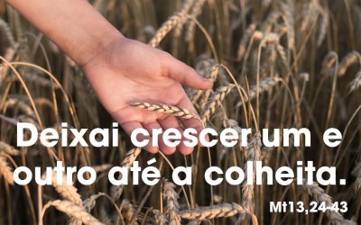 Deixai crescer um e outro até a colheita. (Mt13,24-43)