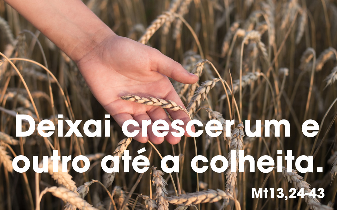 Deixai crescer um e outro até a colheita. (Mt13,24-43)