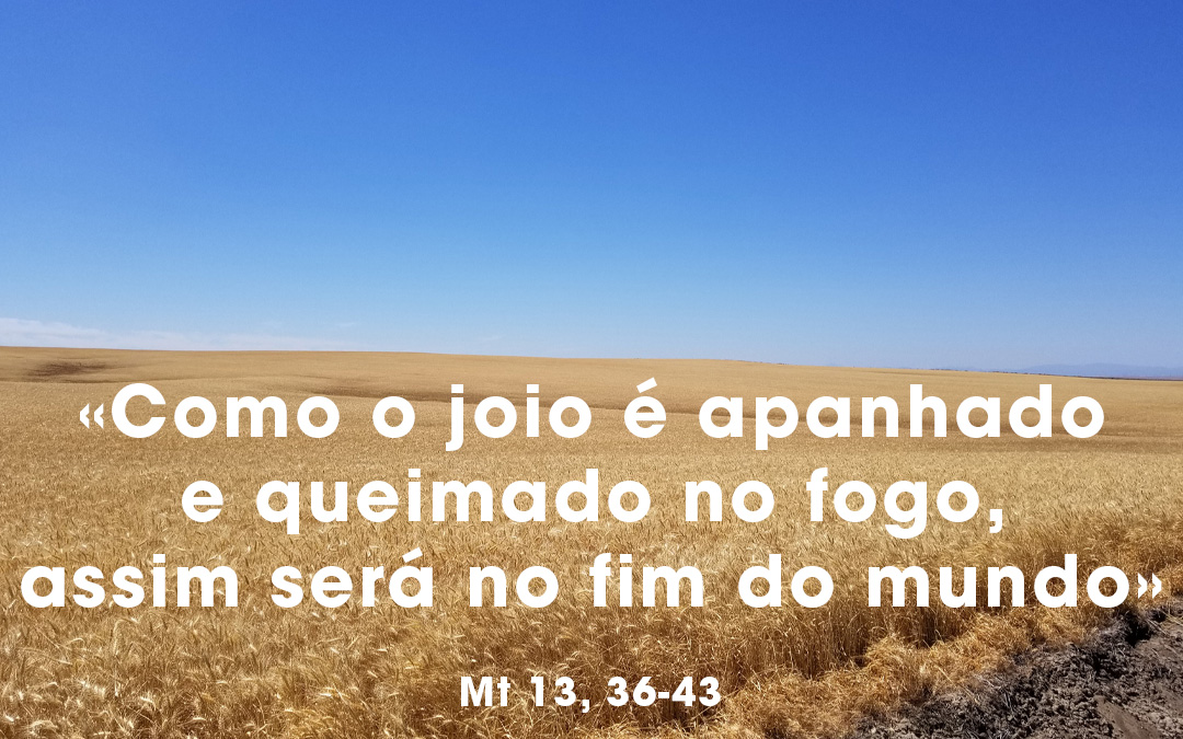 «Como o joio é apanhado e queimado no fogo, assim será no fim do mundo» (Mt 13, 36-43)