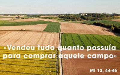 «Vendeu tudo quanto possuía para comprar aquele campo» (Mt 13, 44-46)