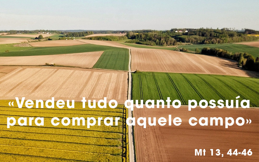 «Vendeu tudo quanto possuía para comprar aquele campo» (Mt 13, 44-46)