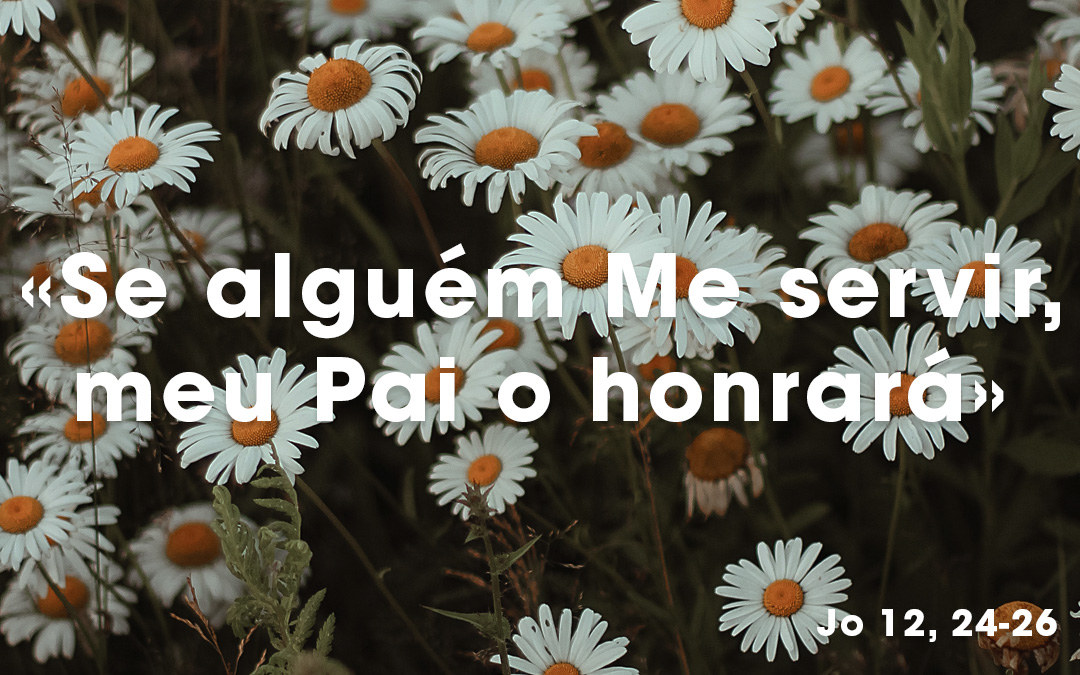 «Se alguém Me servir, meu Pai o honrará» Jo 12, 24-26