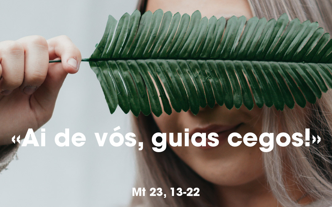 «Ai de vós, guias cegos!» Mt 23, 13-22