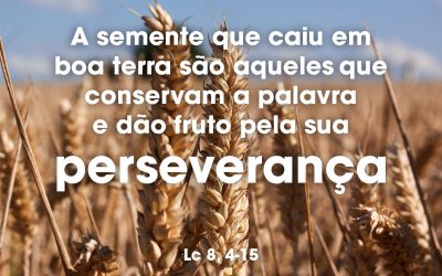 «A semente que caiu em boa terra são aqueles que conservam a palavra e dão fruto pela sua perseverança» Lc 8, 4-15