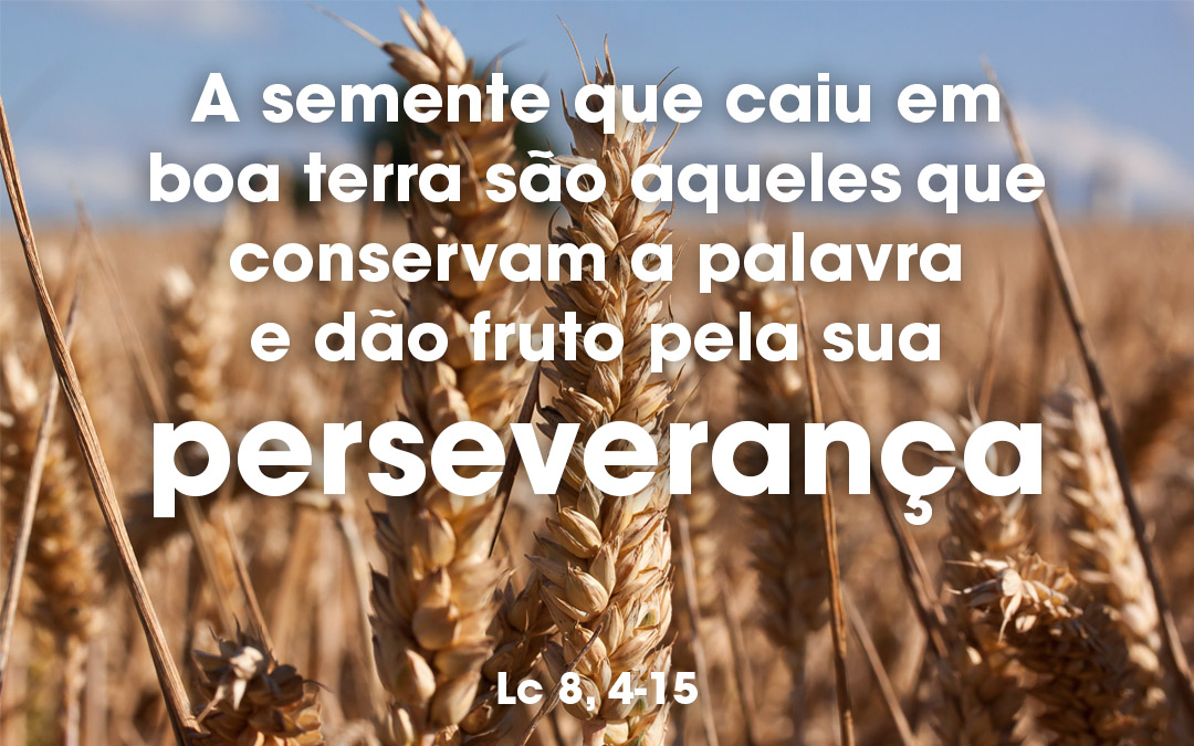 «A semente que caiu em boa terra são aqueles que conservam a palavra e dão fruto pela sua perseverança» Lc 8, 4-15