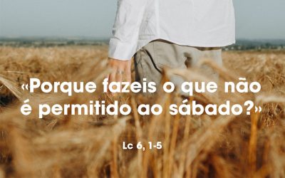 «Porque fazeis o que não é permitido ao sábado?» Lc 6, 1-5