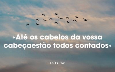 «Até os cabelos da vossa cabeça estão todos contados» Lc 12, 1-7