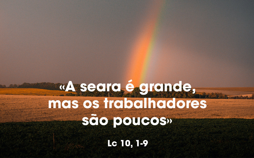 «A seara é grande, mas os trabalhadores são poucos» Lc 10, 1-9
