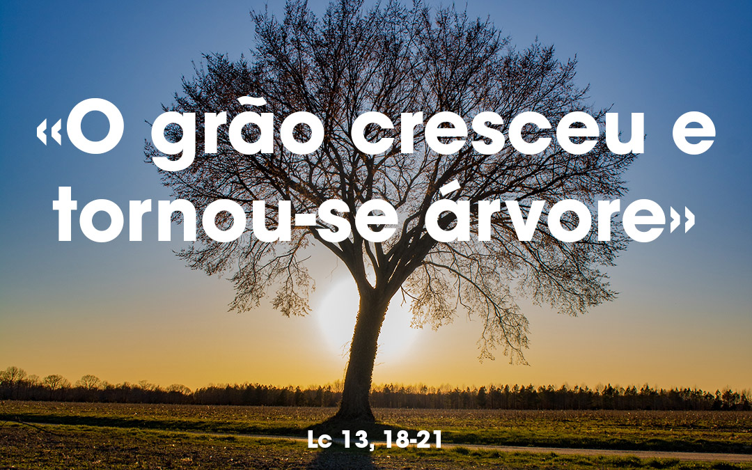 «O grão cresceu e tornou-se árvore» Lc 13, 18-21