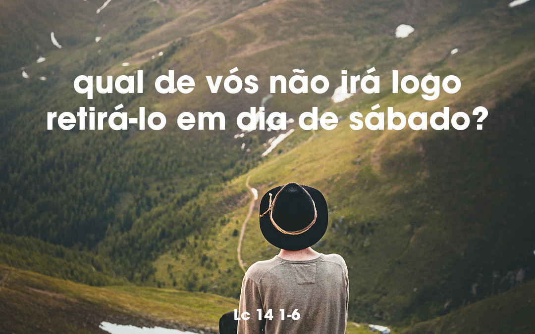 «Se um filho vosso ou um boi cair num poço, qual de vós não irá logo retirá-lo em dia de sábado?» Lc 14 1-6