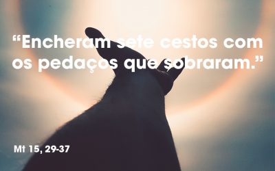 “Encheram sete cestos com os pedaços que sobraram.” Mt 15, 29-37