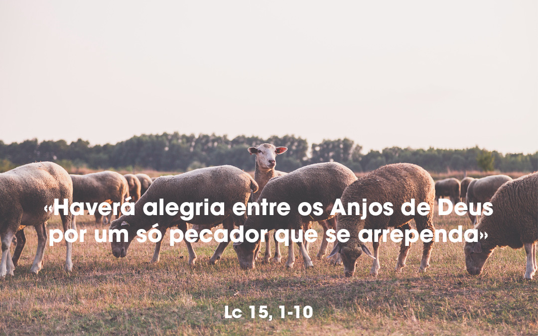 «Haverá alegria entre os Anjos de Deus por um só pecador que se arrependa» Lc 15, 1-10