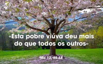 «Esta pobre viúva deu mais do que todos os outros» Mc 12, 38-44