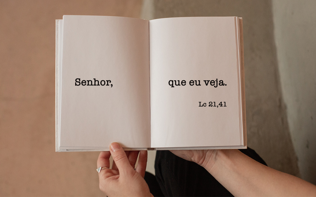 “Senhor, que eu veja”. (Lc 21,41)