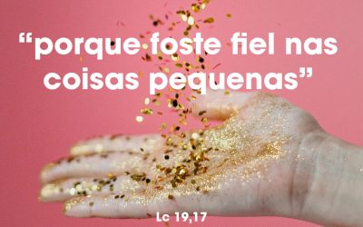 Muito bem, servo bom; porque foste fiel nas coisas pequenas, receberás o governo de dez cidades. (Lc 19,17)