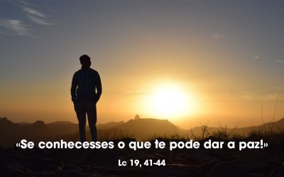 «Se conhecesses o que te pode dar a paz!» (Lc 19, 41-44)