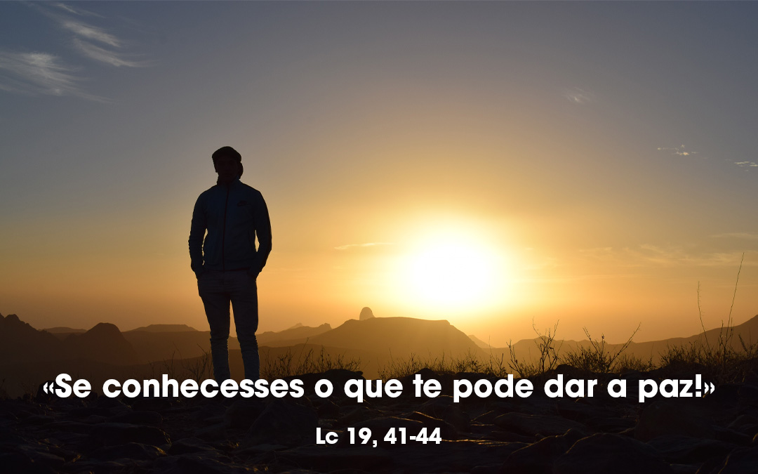 «Se conhecesses o que te pode dar a paz!» (Lc 19, 41-44)