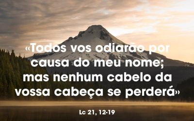 «Todos vos odiarão por causa do meu nome; mas nenhum cabelo da vossa cabeça se perderá» Lc 21, 12-19