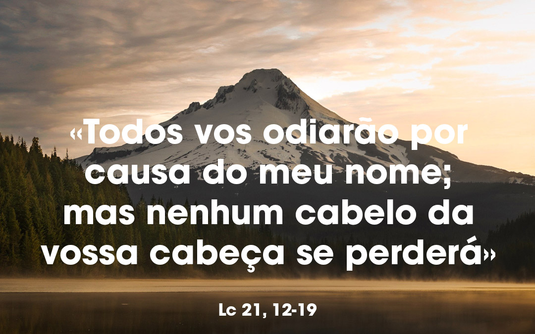 «Todos vos odiarão por causa do meu nome; mas nenhum cabelo da vossa cabeça se perderá» Lc 21, 12-19