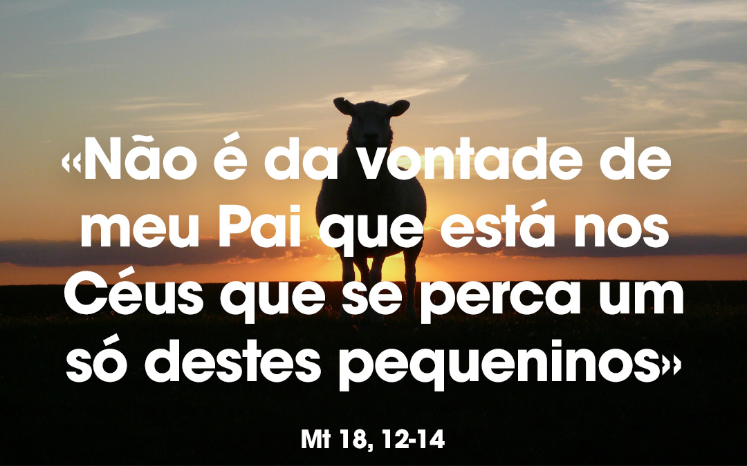 «Não é da vontade de meu Pai que está nos Céus que se perca um só destes pequeninos» Mt 18, 12-14