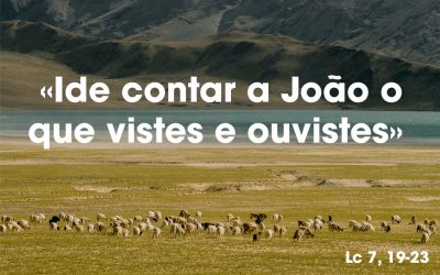 «Ide contar a João o que vistes e ouvistes» Lc 7, 19-23