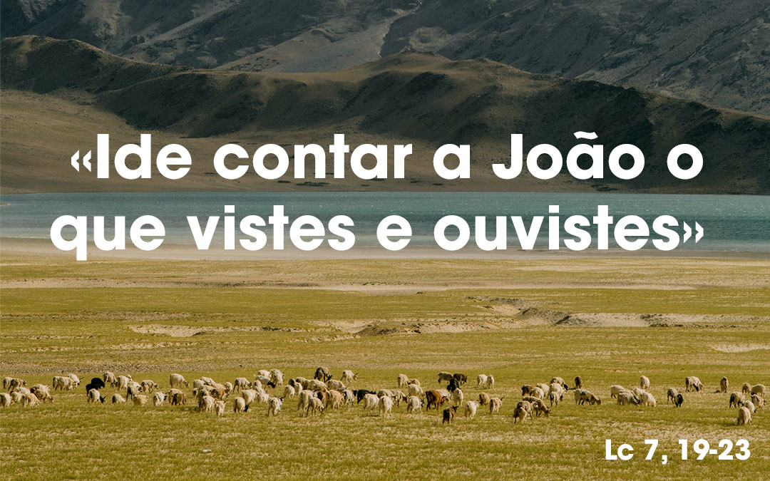 «Ide contar a João o que vistes e ouvistes» Lc 7, 19-23