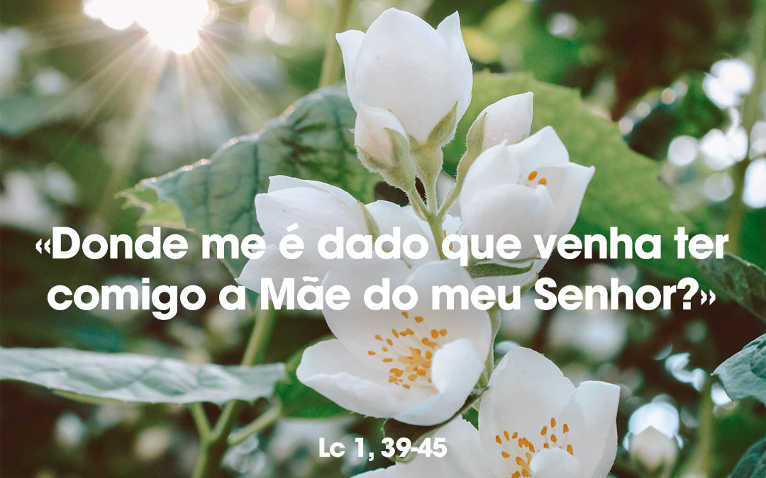 «Donde me é dado que venha ter comigo a Mãe do meu Senhor?» Lc 1, 39-45