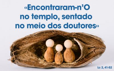 «Encontraram-n’O no templo, sentado no meio dos doutores» Lc 2, 41-52