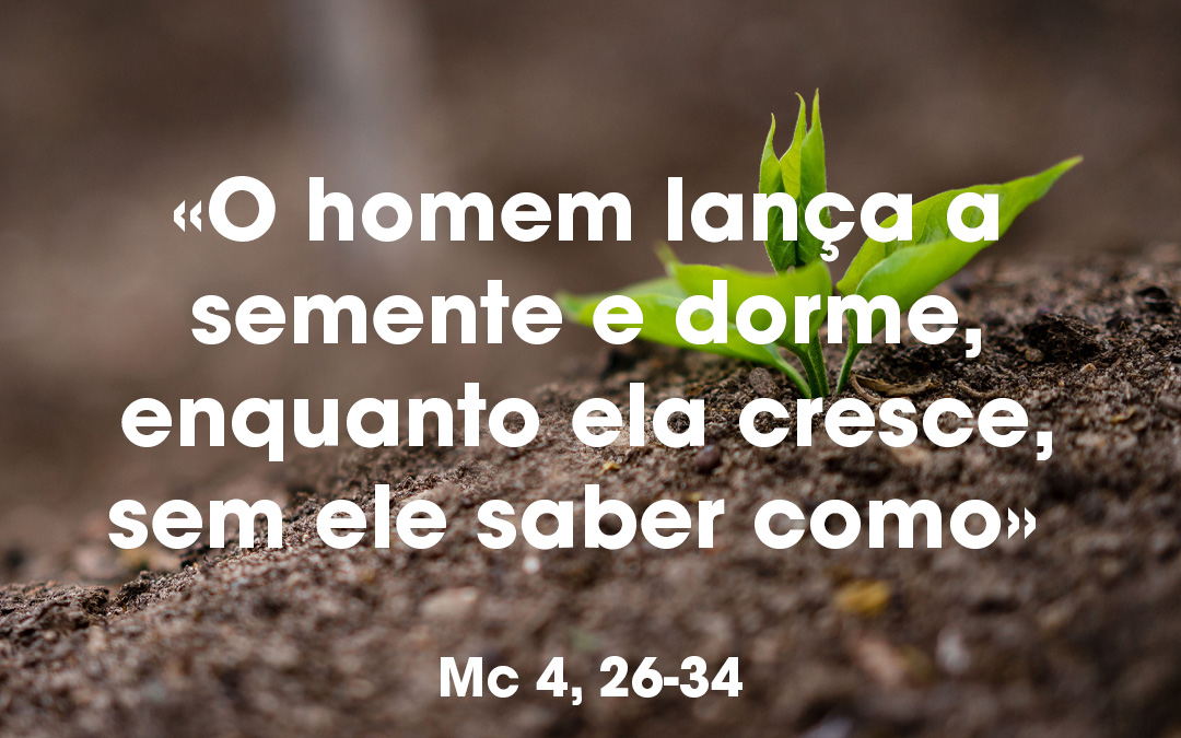 «O homem lança a semente e dorme, enquanto ela cresce, sem ele saber como» Mc 4, 26-34