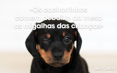 «Os cachorrinhos comem debaixo da mesa as migalhas das crianças» Mc 7, 24-30