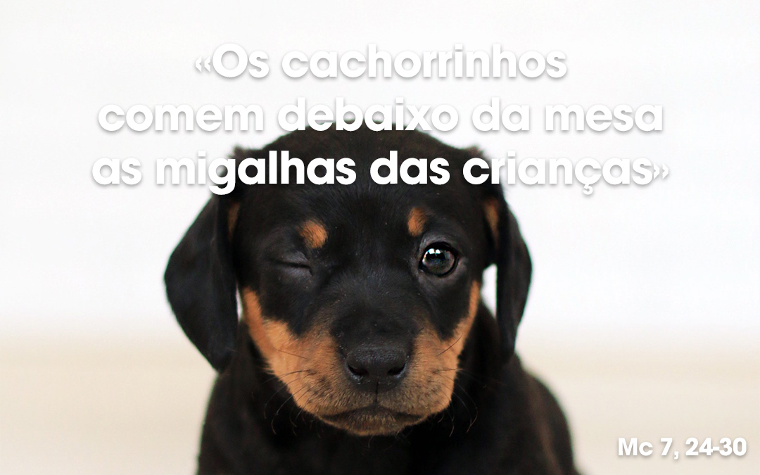 «Os cachorrinhos comem debaixo da mesa as migalhas das crianças» Mc 7, 24-30