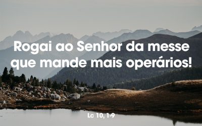 “Rogai ao Senhor da messe que mande mais operários!” – Lc 10, 1-9