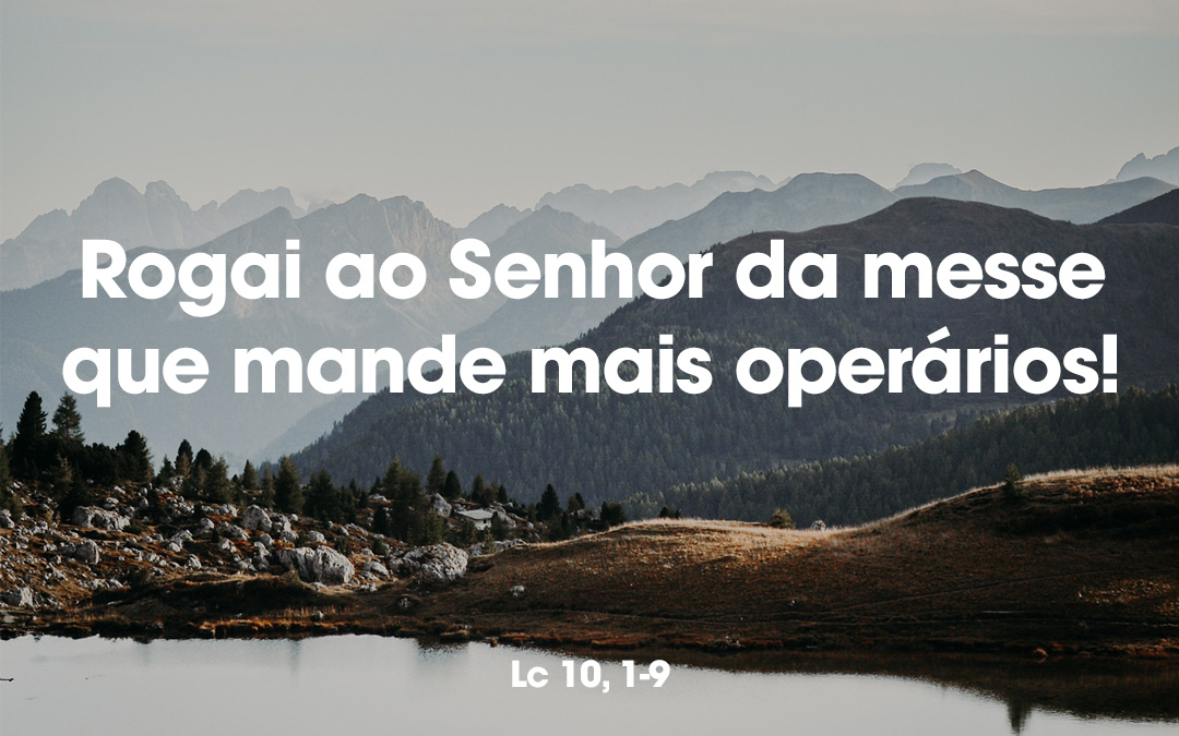 “Rogai ao Senhor da messe que mande mais operários!” – Lc 10, 1-9