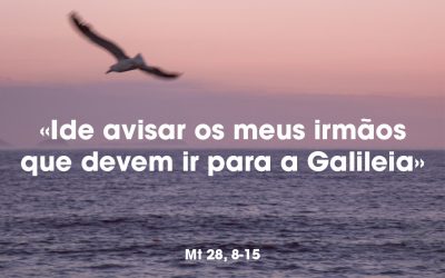 «Ide avisar os meus irmãos que devem ir para a Galileia» Mt 28, 8-15