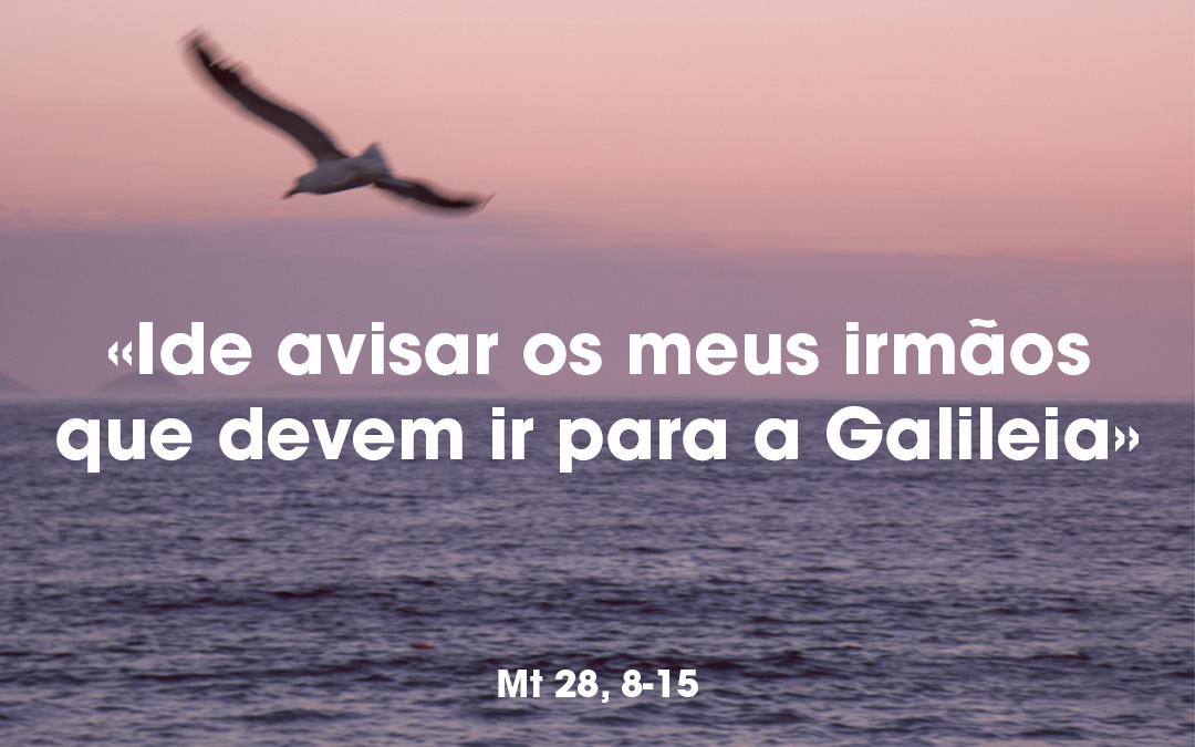 «Ide avisar os meus irmãos que devem ir para a Galileia» Mt 28, 8-15