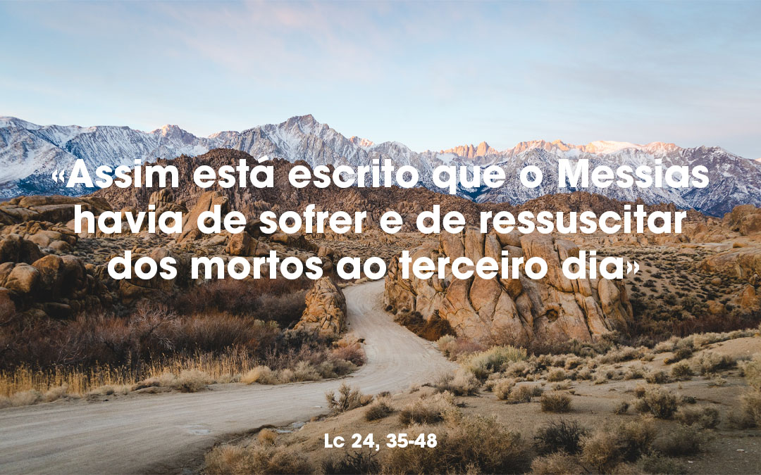 «Assim está escrito que o Messias havia de sofrer e de ressuscitar dos mortos ao terceiro dia» Lc 24, 35-48