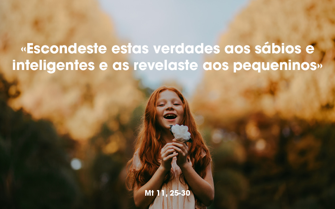 «Escondeste estas verdades aos sábios e inteligentes e as revelaste aos pequeninos» Mt 11, 25-30