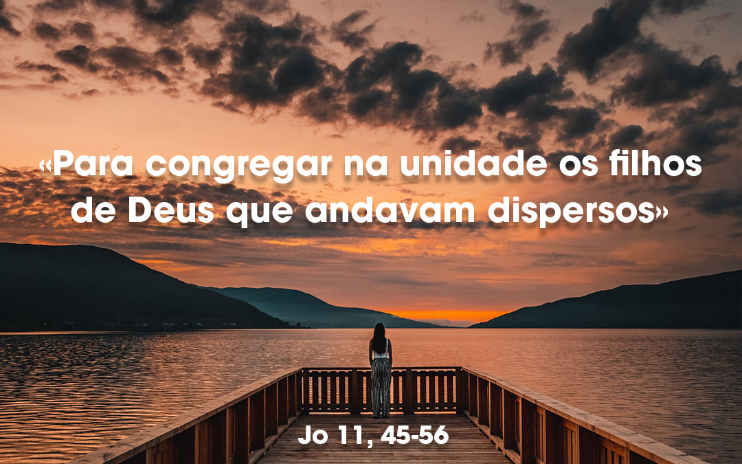 «Para congregar na unidade os filhos de Deus que andavam dispersos» Jo 11, 45-56