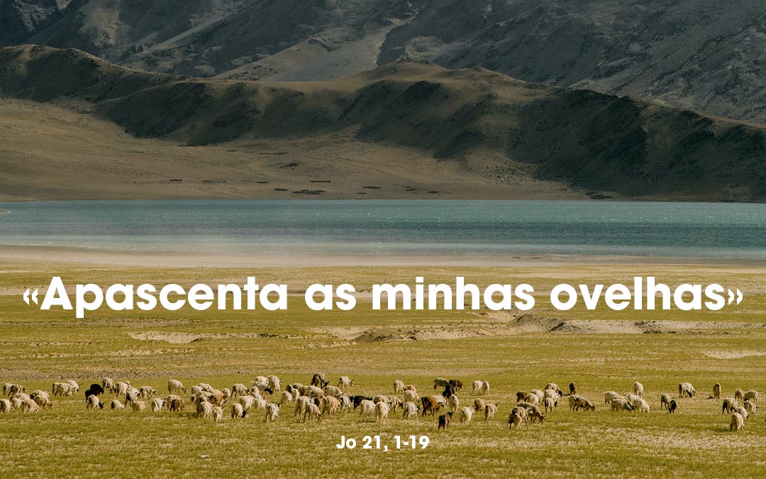 «Apascenta as minhas ovelhas» Jo 21, 1-19