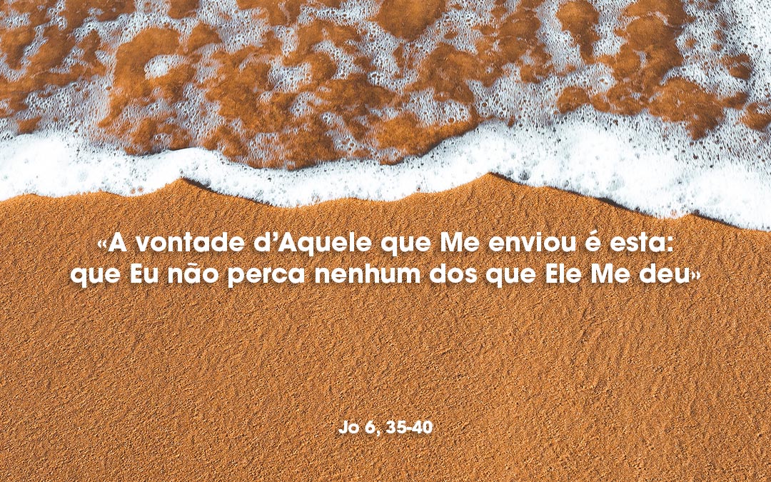 «A vontade d’Aquele que Me enviou é esta: que Eu não perca nenhum dos que Ele Me deu» Jo 6, 35-40