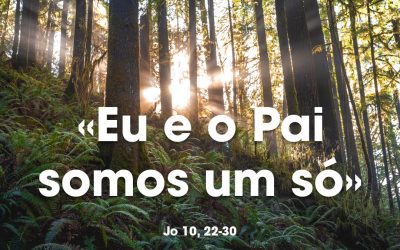«Eu e o Pai somos um só» Jo 10, 22-30