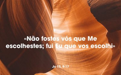 «Não fostes vós que Me escolhestes; fui Eu que vos escolhi» Jo 15, 9-17