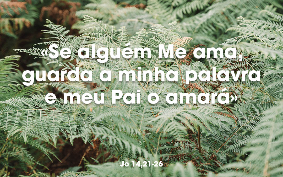 «Se alguém Me ama, guarda a minha palavra e meu Pai o amará. Eu e meu Pai viremos e faremos nele a nossa morada.» Jo 14,21-26