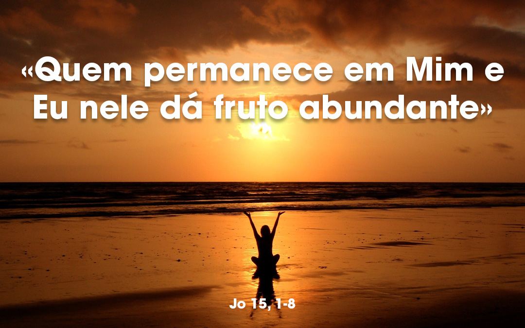 «Quem permanece em Mim e Eu nele dá fruto abundante» Jo 15, 1-8