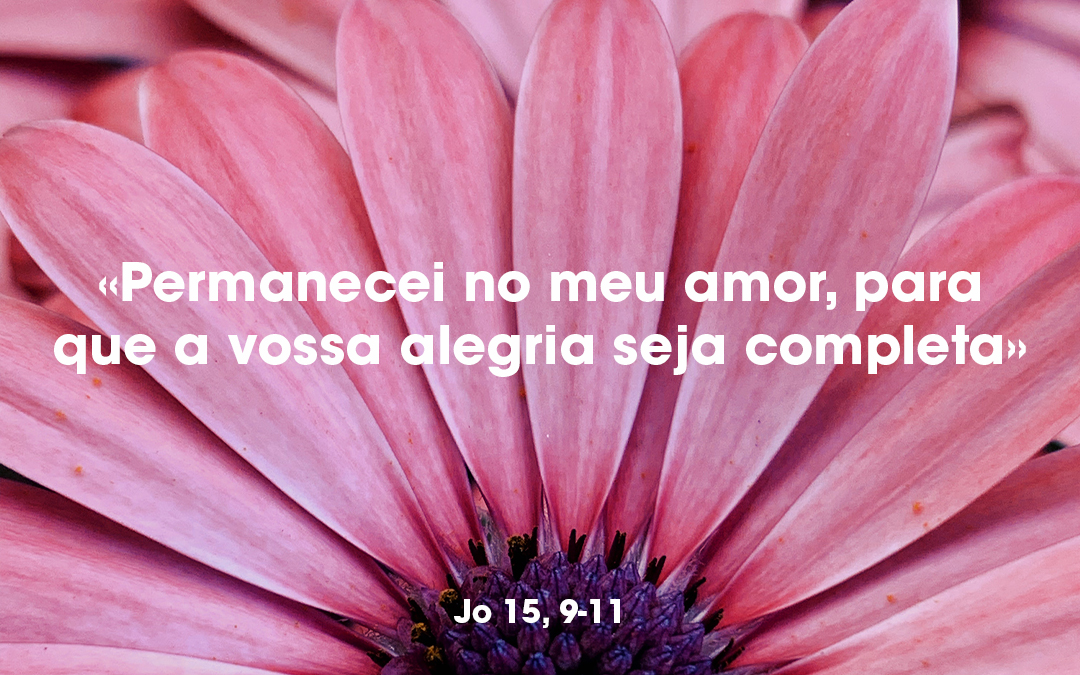 «Permanecei no meu amor, para que a vossa alegria seja completa» Jo 15, 9-11