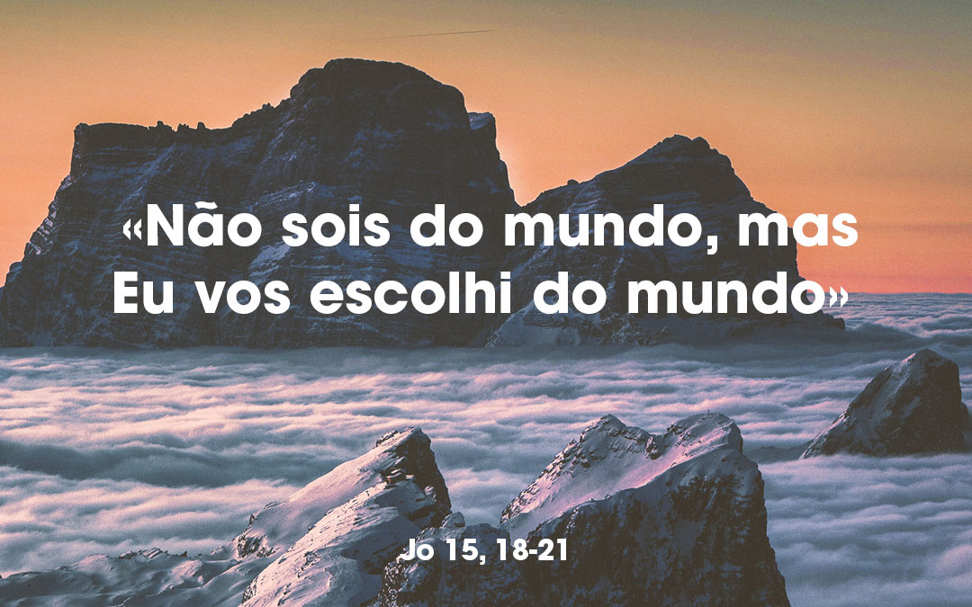 «Não sois do mundo, mas Eu vos escolhi do mundo» Jo 15, 18-21