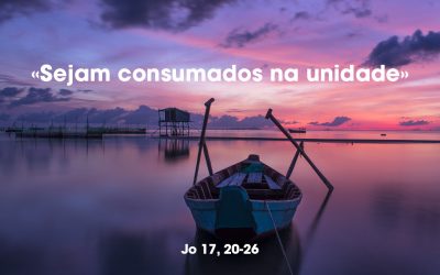 «Sejam consumados na unidade» Jo 17, 20-26