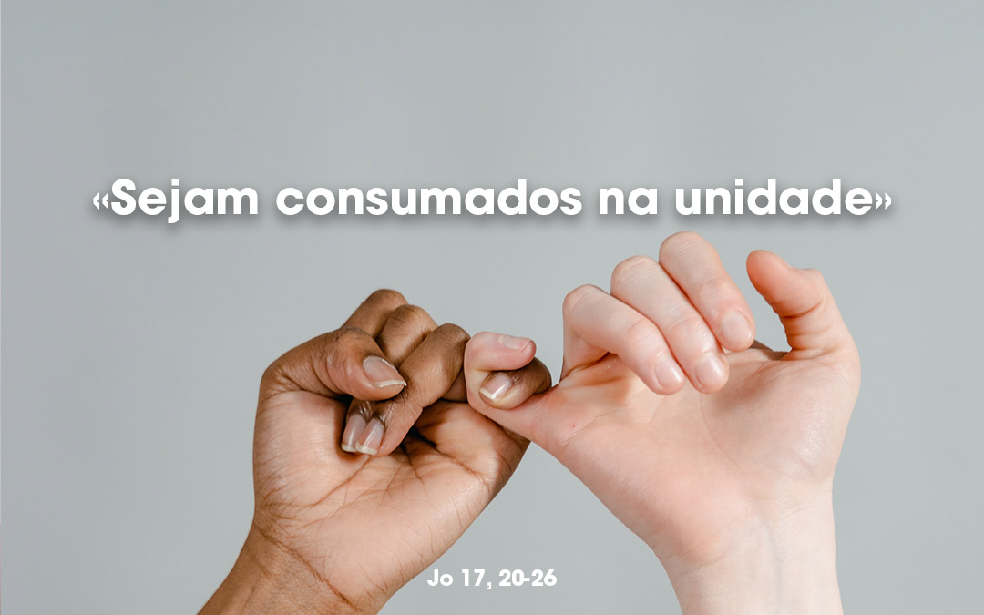 «Sejam consumados na unidade» Jo 17, 20-26